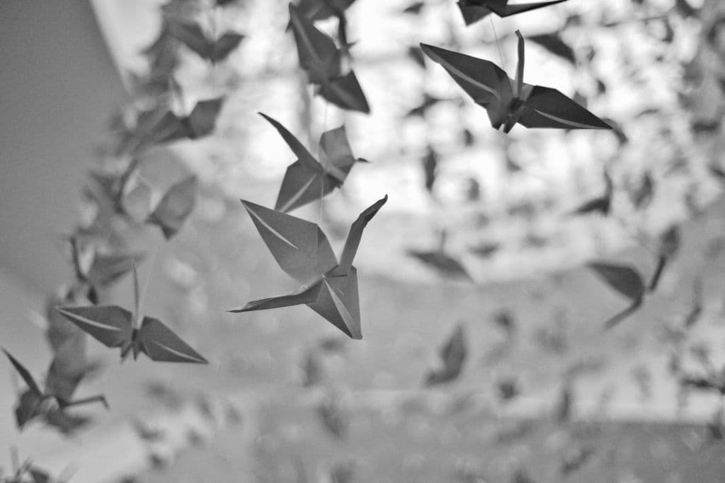 Paper Meal Vouchers? Time for an Update!